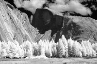 Half Dome from Ahwahnee meadow