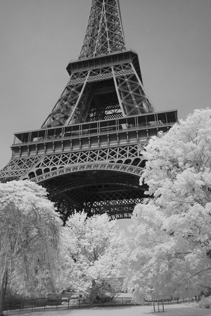 Eiffel tower, black and white