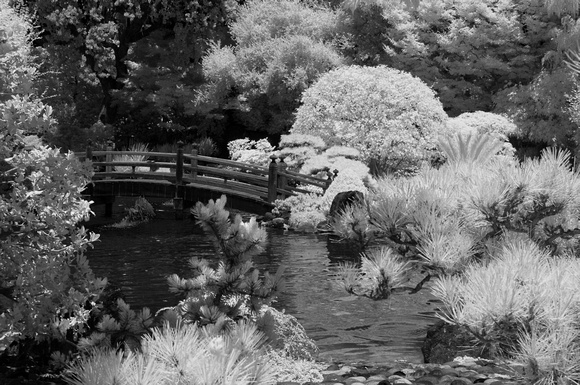 San Mateo, Japanese garden