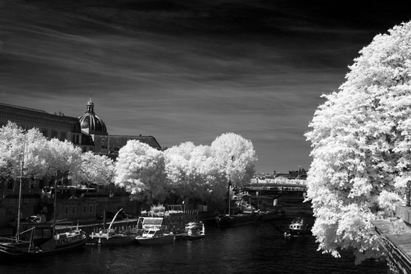 The Seine from Pont Neuf