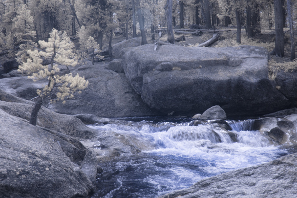 Yosemite Creek - IR with color