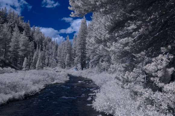 Tuolumne River -- IR with color