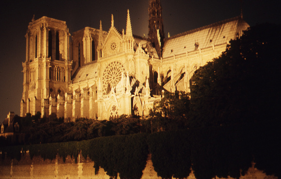 Notre Dame at night